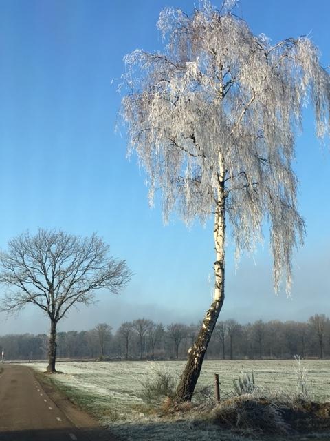 Vakantiepark Vosseven 77 Stramproy 外观 照片