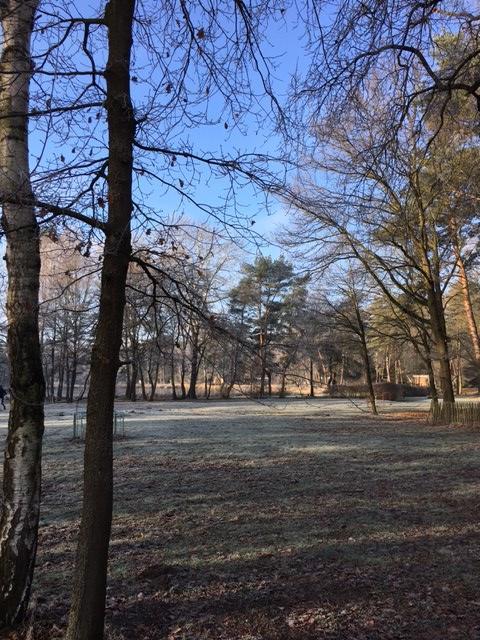 Vakantiepark Vosseven 77 Stramproy 外观 照片